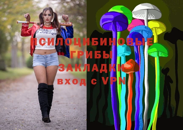 PSILOCYBIN Алзамай