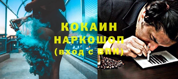 PSILOCYBIN Алзамай