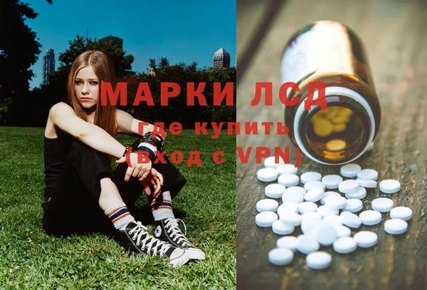 прущие грибы Алексин